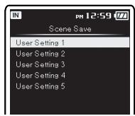 OLYMPUS DM-3,  DM-5,  DM-650,  DM-670 - When [Scene Save] is selected: - 2