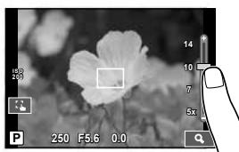 OLYMPUS E-P5 - Previewing Your Subject ( - 1