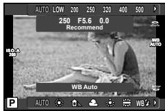 OLYMPUS E-P5 - Adjusting color (white balance) - 2