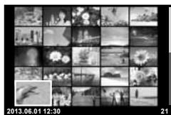 OLYMPUS E-P5 - Index display/Calendar display - 3