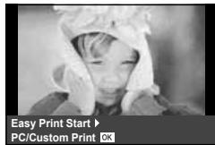 OLYMPUS E-P5 - Easy printing - 1