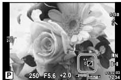 OLYMPUS E-P5 - Changing the brightness of highlights and shadows - 1