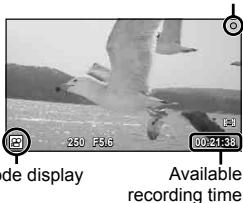 OLYMPUS E-PM1 - Recording movies with the shutter button - 1