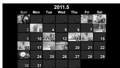 OLYMPUS E-PM1 - Index display/Calendar display - 2
