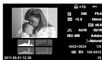 OLYMPUS E-PM1 - Displaying information during playback - 5