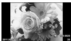 OLYMPUS E-PM1 - Single-frame playback - 2