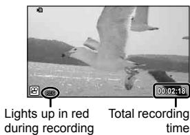 OLYMPUS E-PM1 - Recording movies with the shutter button - 2