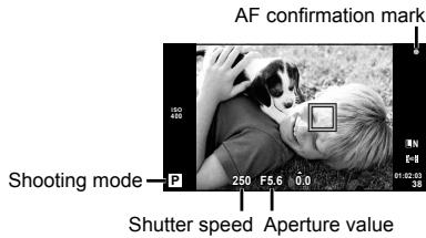 OLYMPUS E-PM1 - "Point-and-shoot" photography (P program mode) - 2