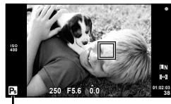 OLYMPUS E-PM1 - Program shift (Ps) - 1
