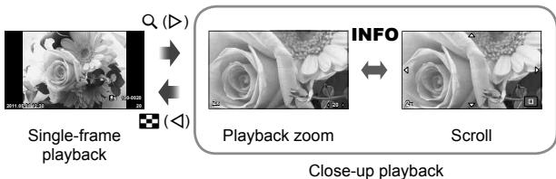 OLYMPUS E-PM1 - Playback zoom (close-up playback) - 1