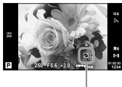 OLYMPUS E-PM1 - Changing the brightness of highlights and shadows - 1