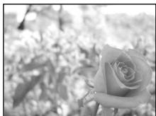 OLYMPUS E-PM1 - Choosing aperture (A aperture-priority mode) - 3