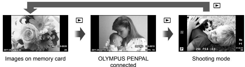 OLYMPUS E-PM1 - Single-frame playback - 1