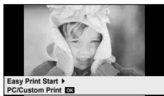 OLYMPUS E-PM1 - Easy printing - 1