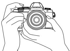 OLYMPUS E-M10 - Prise de vues fixes - 1