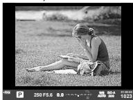 OLYMPUS E-M10 - Viseur - 1