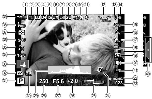 OLYMPUS E-M10 - Affichage de l'écran lors de la prise de vue en direct - 1