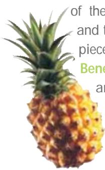 MAGIMIX LE DUO PLUS - Pineapple - 3