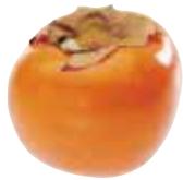 MAGIMIX LE DUO PLUS - Persimmon - 2