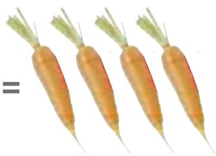 MAGIMIX LE DUO SALAD AND JUICE - of fruit or vegetables/sliced or grated - 3