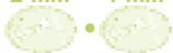 MAGIMIX LE DUO SALAD AND JUICE - Greek salad - 1
