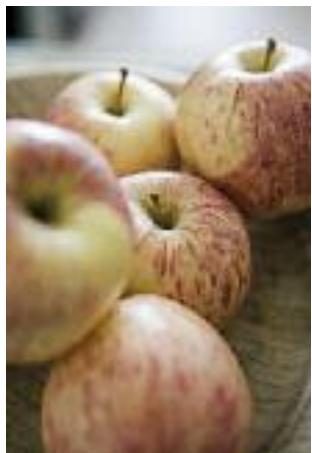 MAGIMIX DUO SALAD & JUICE - Automne - 1