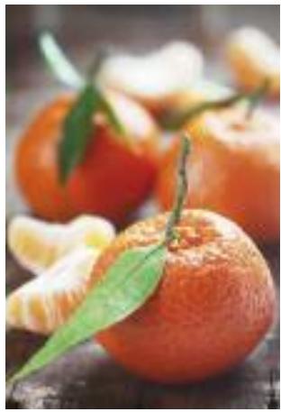 MAGIMIX DUO SALAD & JUICE - Hiver - 1