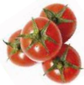 MAGIMIX DUO SALAD & JUICE - Salade - 1