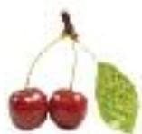 MAGIMIX DUO SALAD & JUICE - Cerise - 3