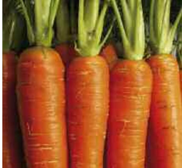MAGIMIX DUO XL - grated or sliced fruit and vegetables - 17