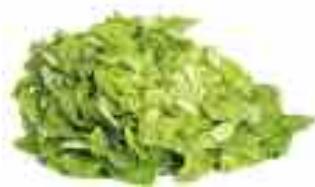MAGIMIX DUO XL - Lettuce - 2