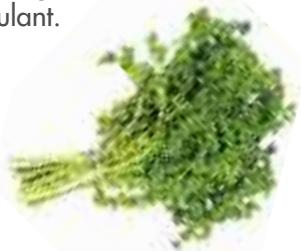 MAGIMIX DUO XL - Lettuce - 2