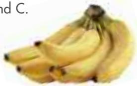 MAGIMIX DUO XL - Banana - 6