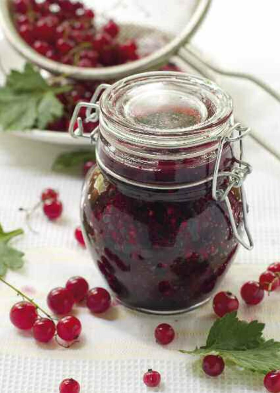 MAGIMIX DUO XL - Serves 4 jars - 1