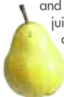 MAGIMIX DUO XL - Pear - 1
