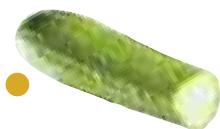 MAGIMIX DUO XL - Cucumber - 4
