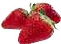 MAGIMIX DUO XL - Strawberry - 1