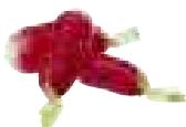 MAGIMIX DUO XL - Radish - 1