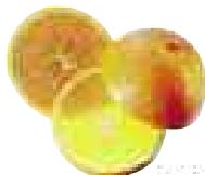 MAGIMIX DUO XL - Citrus fruit - 1