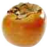 MAGIMIX DUO XL - Persimmon - 1