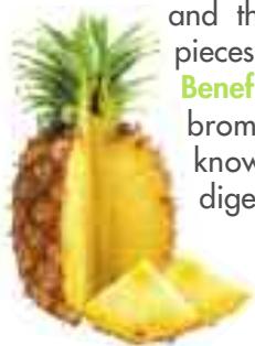 MAGIMIX DUO XL - Pineapple - 1
