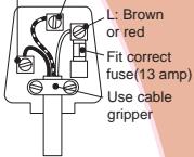 TEFAL RACLETTE - ABOUT YOUR FACTORY FITTED PLUG - 1