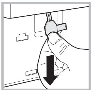 HOTPOINT AQ8F 292 U - Opening the porthole door manually - 3