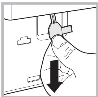 HOTPOINT AQ8F 292 U - Abertura manual da porta de vidro - 3