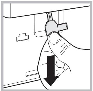 HOTPOINT AQM9D 49 U - Opening the porthole door manually - 3