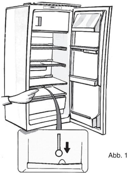 HOTPOINT T 16 A2 D S/HA - Abtauen des Gefrierteils \* \*\*\* (soweit vorhanden) - 1