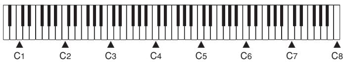 CASIO AP-24 - MIDI Implementation Chart - 3