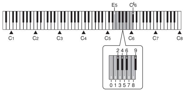 CASIO AP-24 - To play back a user song - 1