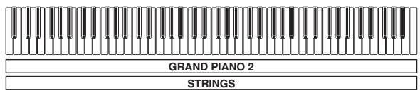 CASIO AP-24 - Layering Two Tones - 1