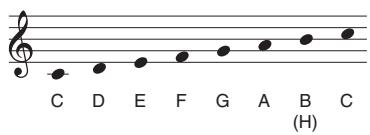 CASIO AP-38 - NOTE - 1